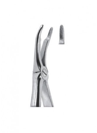 Extracting Forceps